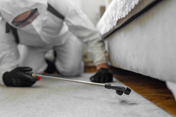 Professional Termite Control technician working in Derry, PA