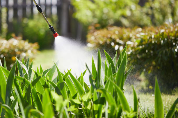 24/7 Emergency Termite Control experts in Derry, PA