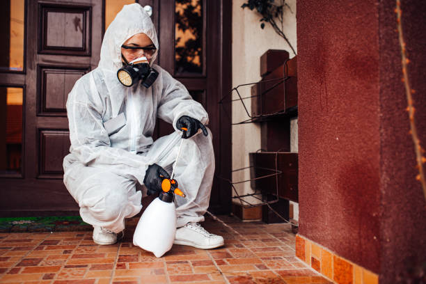 Reliable Termite Control contractor in Derry, PA by Nex Pest Control
