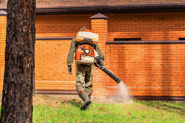 Top rated local Termite Control specialists in Derry, PA